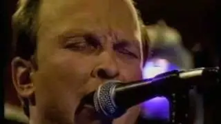 I'm Shakin' - The Blasters 1981