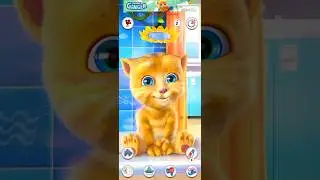 SHORTS TALKING GINGER #280