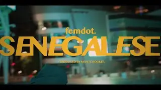femdot. - 