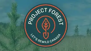 Pembina partners with Project Forest