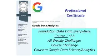 Google Data Analytics | Foundations Data Data Everywhere Weekly Challenge #quiz #google