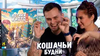 🐈 Милые японские КОТИКИ! | Настольная игра КОТИКИ КИОТО