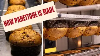 How Panettone Is Masterfully Crafted in Italy