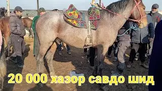 Асбозори Душамбе Асп савдо шид 20 хазор сомони 2 марта 2022 г.