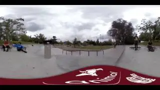 Animal Bikes - 