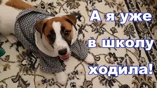 День 42-й. Win ходила в школу на репетицию.