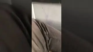 Crazy Junky on the bus