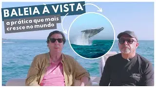 Ilhabela e a avistagem de baleias