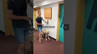 How my guide dog “talks” to me (amazing!) 