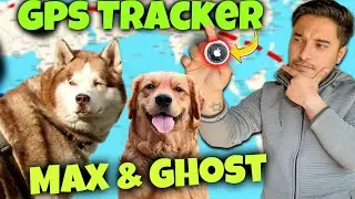 Ab GHOST nahi BHAG payega 😍 | wuhoooo!!!! | THE HIMALAYAN HUSKY