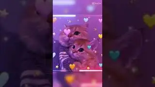 These Cats Are So Cool! Watch Them Do Amazing Tricks | tiktokcats