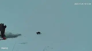 это вам не Майами