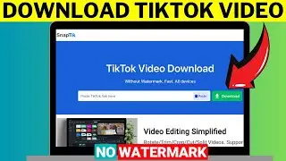 How To Download Tiktok Video Without Watermark (2024 Method)