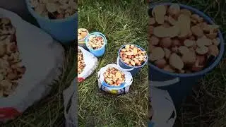 24 декабря 2023 г.
