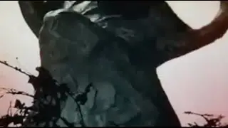 Wolf And Red Riding Hood Vore, Sound Edit, v3