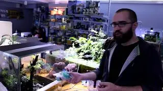 Как сделать палюдариум своими руками.