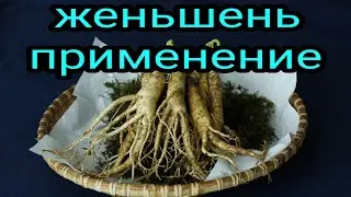 Женьшень. Как и где применяется Женьшень. Полезные свойства и противопоказания. Домашняя аптека.