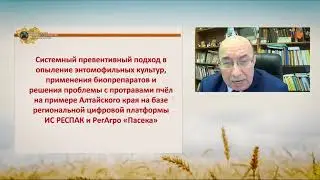 Системное развитие пчеловодства России