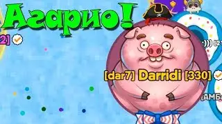 Спокойный тим Агарио голодные игры! Agario vk games!