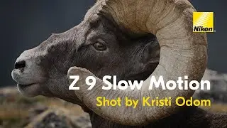 Nikon Z 9: 4K 120p Video