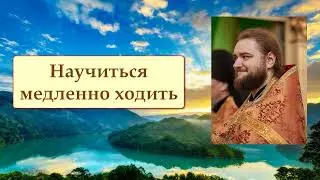 НАУЧИТЬСЯ МЕДЛЕННО ХОДИТЬ. Отец Савва (Мажуко).
