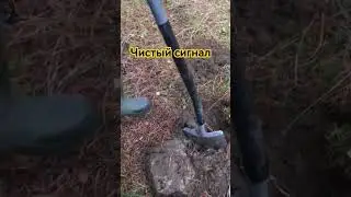 моё хобби