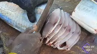 10kg vanjaram fish slice cutting|வஜ்சரம்| slice cutting|seela fish cutting