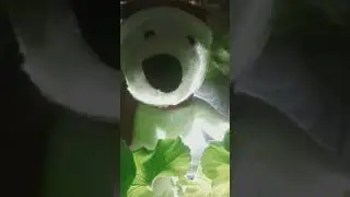Мишка в кустиках