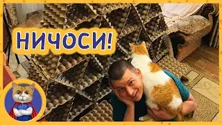 Смотри что можно сделать из яичных лотков! Рыжик в шоке! Новый дворец для котиков