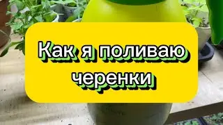 Прием заказов на сезон 2024 доставка по России сдек группа  https://vk.com/club218971573