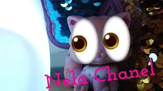 Podpora pro Nela Channel