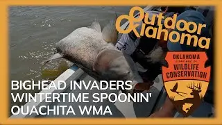Outdoor Oklahoma 4830 (Bighead Invaders, Wintertime Spoonin', Ouachita WMA)