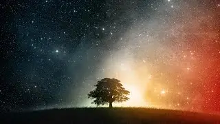 Franle - Someday