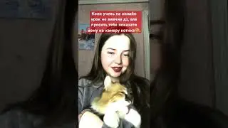 це святе☺️ #мем #онлайнурок #учень #піаніно #фортепіано #музикант #кот #мяу #shorts #short #meaw