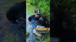 What a rescue! Big fish found under bank! He had to dive in deep! #noodling #shorts