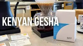One of the rarest coffees I have ever tasted - Kenyan Gesha