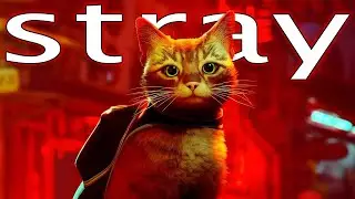 Stray Прохождение | Стрим