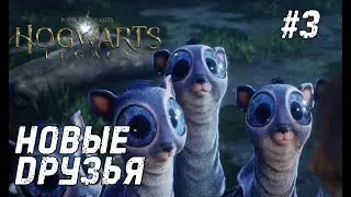 Hogwarts Legacy #3 - Изучаем окресности замка