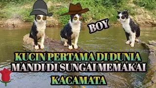 KUCING PERTAMA DU DUNIA MANDI DI SUNGAI MEMAKAI KACAMATA