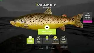 Трофей форель 3,207 Тунгуска 14 12 2023