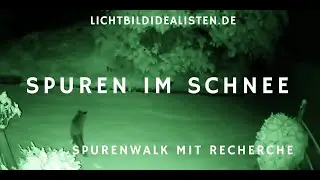 Tierspuren im Schnee - Spurenwalk mit Recherche - Fuchs oder Wildkatze? 