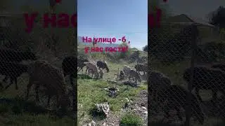 3 кита здоровья- волшебные щелчки, детокс, иммунитет #волшебныещелчки #тинибаевысистем