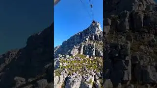 Столовая гора. Кейптаун. ЮАР. 