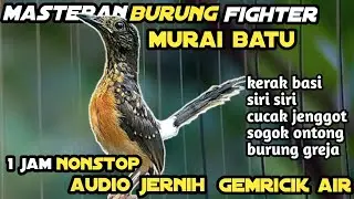Masteran Audio Jernih Dengan Terapi Air 1 Jam Nonstop || Kumpulan Masteran Paling Dicari Kicau Mania