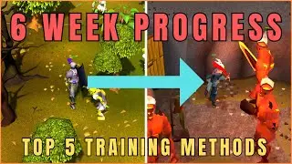 6 Week Progress in OSRS + My Top 5 Low Level Skilling Methods