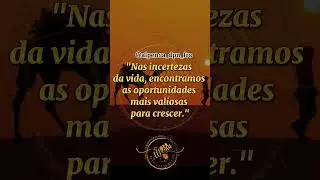 #frasesmotivadoras #alto #pensamento #dpn