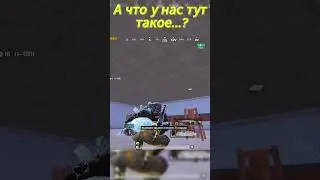 ТИМЕЙТ ЗАСКАМИЛ НА ЗОЛОТО🤣 