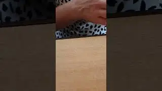Расклад:Сюрпризы и события ближайшего будущего для Вас.🌹+79188976803.
