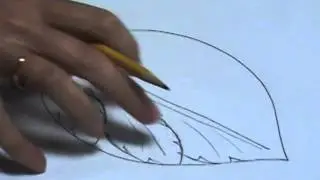 How to draw an acanthus leaf