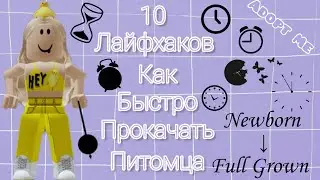 10 Лайфхаков Как Быстро Прокачать Питомцев В Adopt Me!